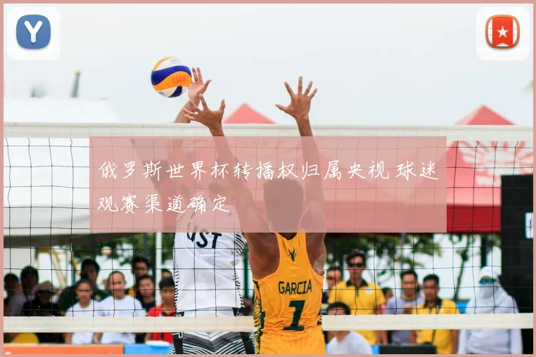 俄罗斯世界杯转播权归属央视 球迷观赛渠道确定