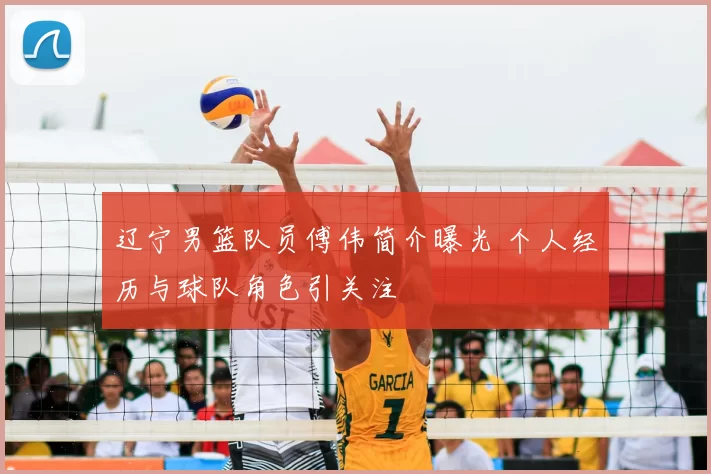 辽宁男篮队员傅伟简介曝光 个人经历与球队角色引关注