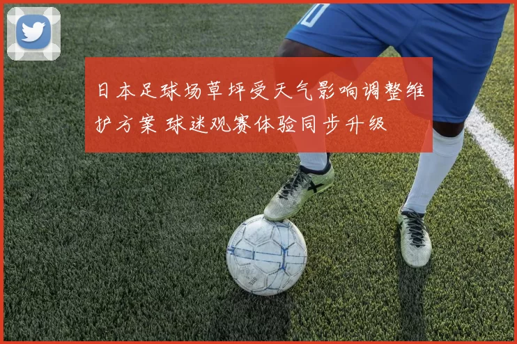 日本足球场草坪受天气影响调整维护方案 球迷观赛体验同步升级