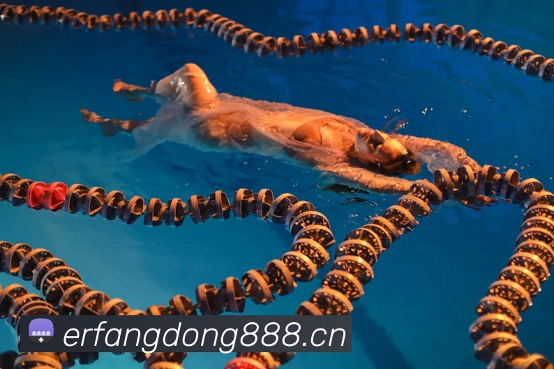 数据防护可视化